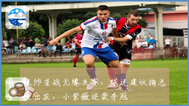 张帅苦战无缘决赛，球迷建议梅总快出发，小紫薇逆袭夺冠