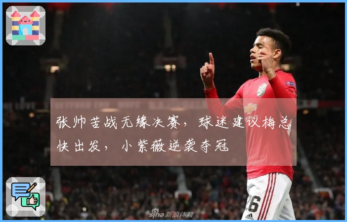 张帅苦战无缘决赛，球迷建议梅总快出发，小紫薇逆袭夺冠